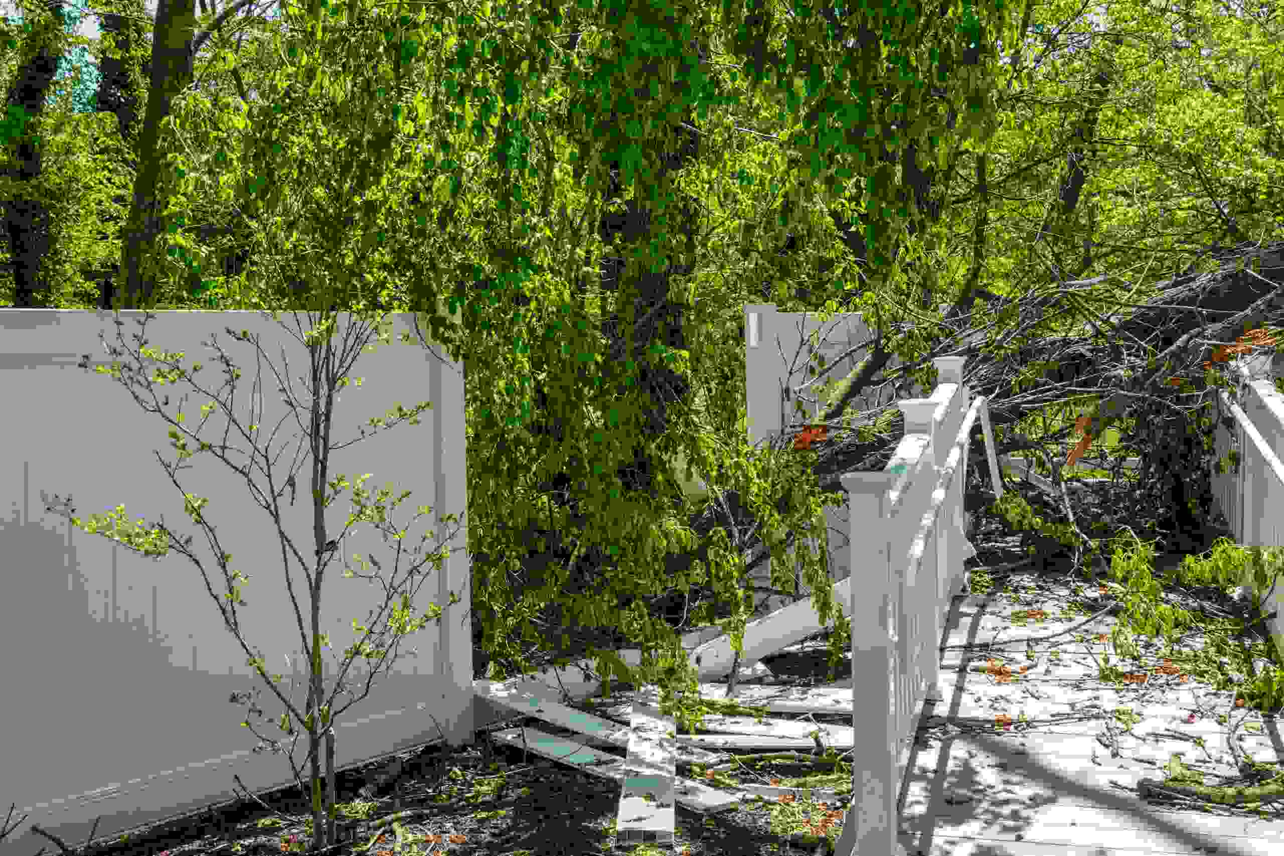 Fence Repair